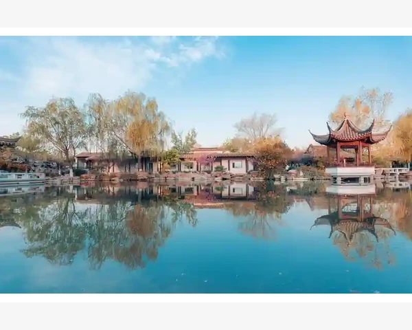 中医调理脾胃方剂：传统中药在维护消化系统健康中的作用
